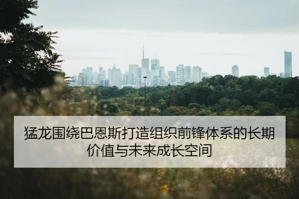 猛龙围绕巴恩斯打造组织前锋体系的长期价值与未来成长空间