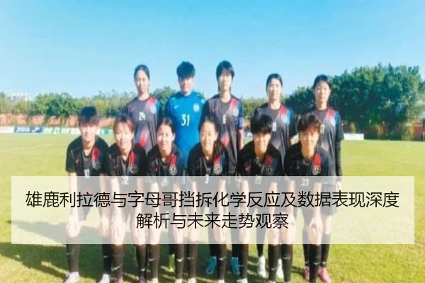 雄鹿利拉德与字母哥挡拆化学反应及数据表现深度解析与未来走势观察